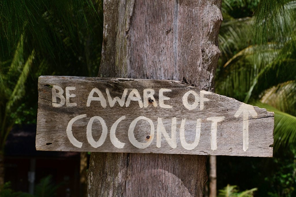 Coconut