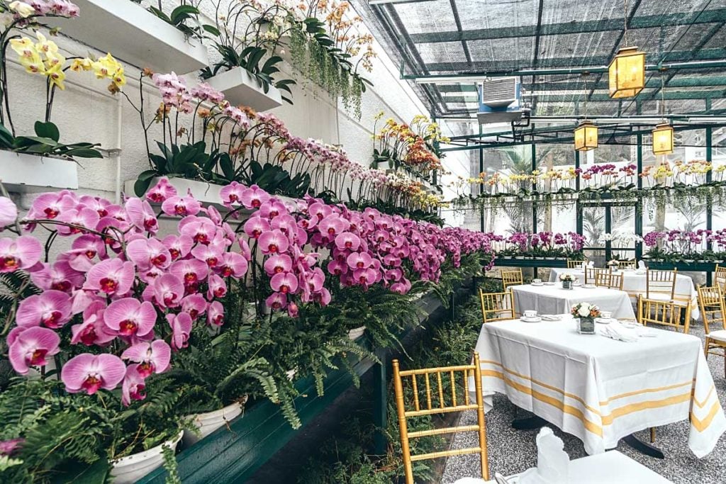 Majestic high tea: Orchid Conservatory