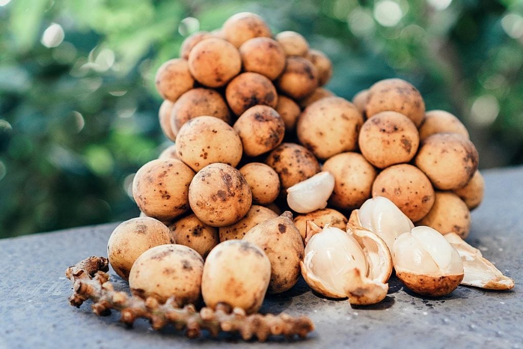 Lanzones Fruit Health Benefits and Nutrition Facts Wild 'n' Free Diary