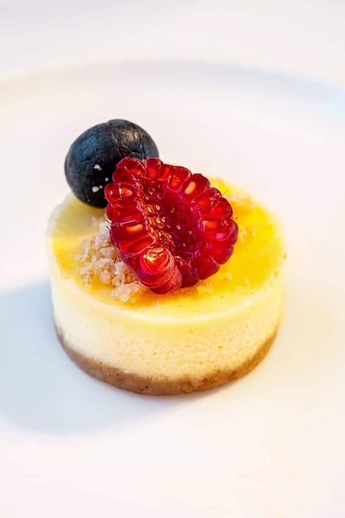 mini cheesecake