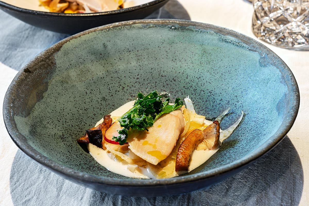 poached trout with mushrooms