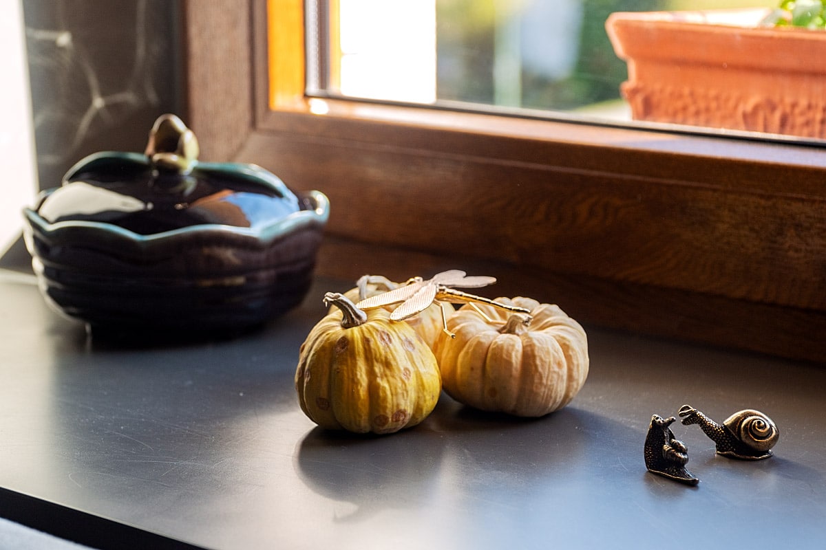 Window with autumn decor