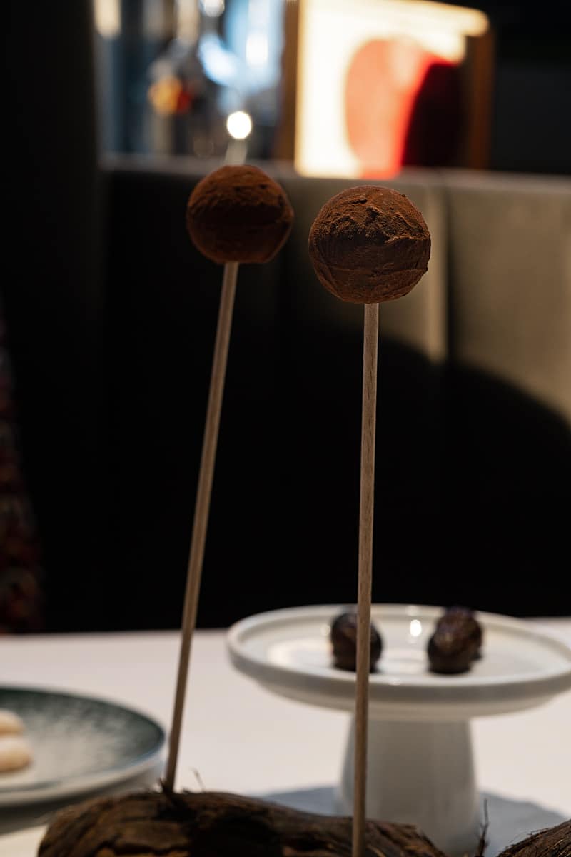 chocolate praline on a stick