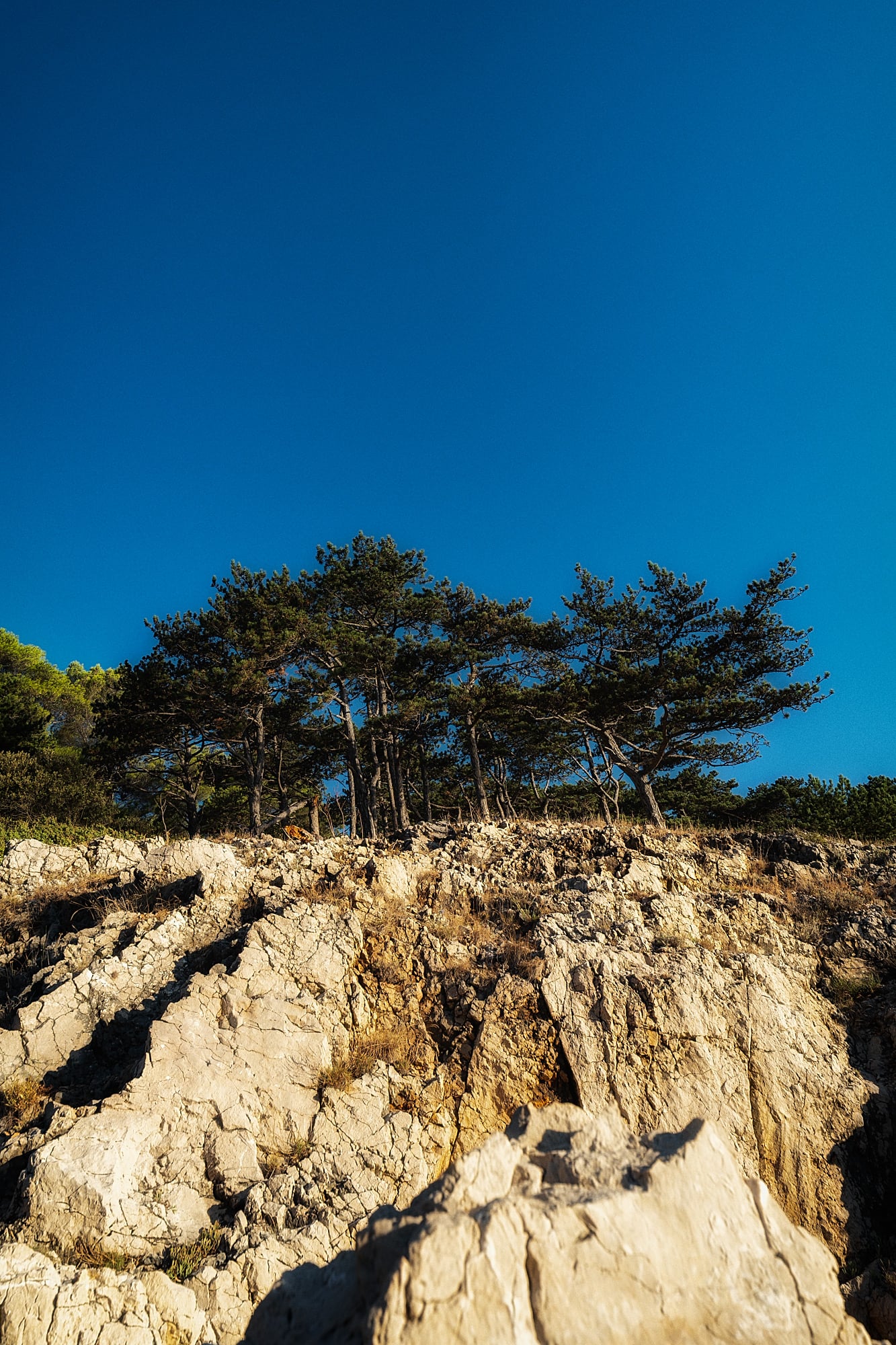 Pine trees grow along a jagged pale rock ridge beneath a wide, clear blue sky.